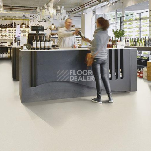 Forbo Marmoleum Decibel on Order 365035 polar bear фото 3 | FLOORDEALER